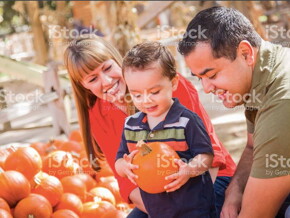 ¿Alguien dijo niños y proteínas? 