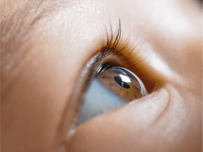 Calculadora de Color de Ojos