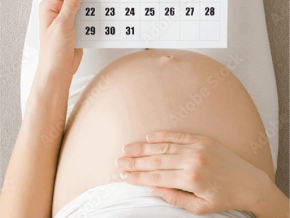 Calendario Semanal de Embarazo