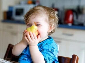 Menú del niño: La mejor alimentación para su crecimiento Menú del niño: La mejor alimentación para su crecimiento
