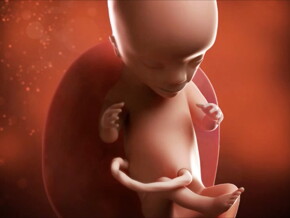Aunque tu bebé está plantado en lo profundo de ti, esta es la semana en que se prepara su sentido del olfato. Aunque tu bebé está plantado en lo profundo de ti, esta es la semana en que se prepara su sentido del olfato.