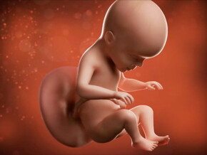 Un pequeño momento de ta-da para la última semana de tu segundo trimestre Un pequeño momento de ta-da para la última semana de tu segundo trimestre