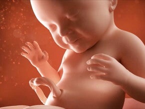 ¡Se acabó el tiempo! Si no lo ha hecho ya, tu bebé llegará en los próximos días.