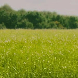 Banner DO Banner Do