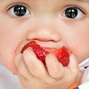 Bebé comiendo una frutilla Bebé comiendo una frutilla