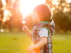 Calculadora de Alergias