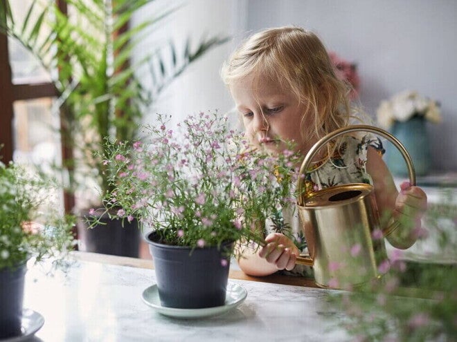 Niña pequeña regando plantas con una regadora.