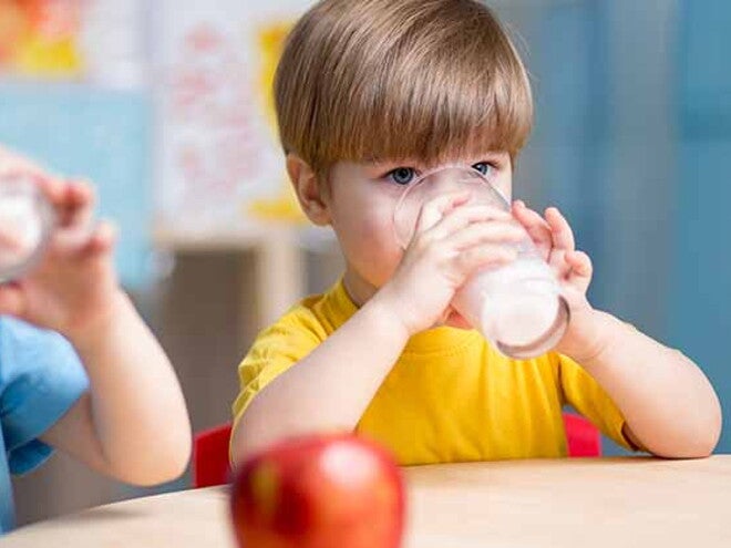 Alimentos que contienen lactosa Alimentos que contienen lactosa