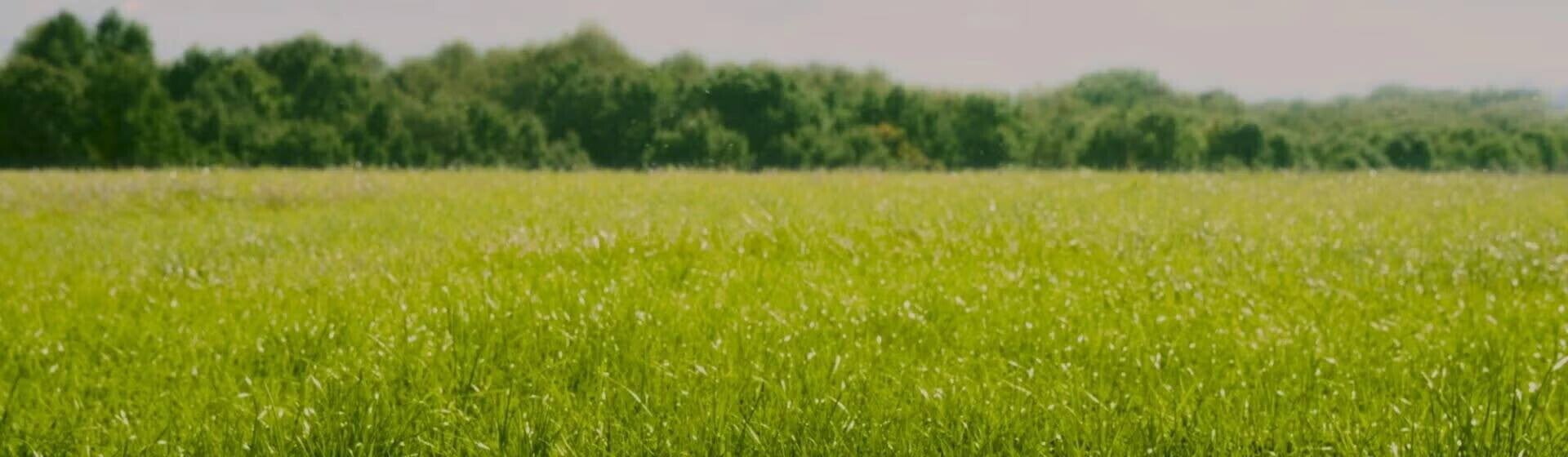 Banner DO Banner DO