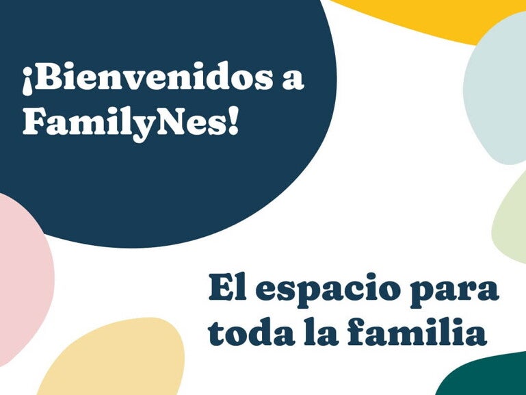 FamilyNes Banner Home
