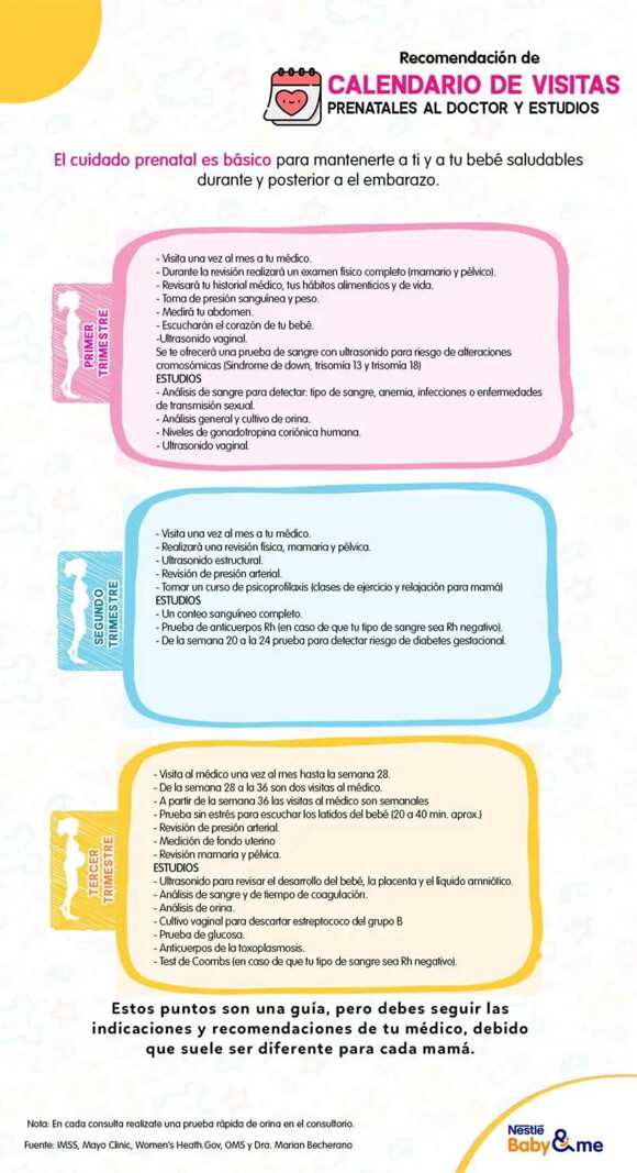 Recomendacion de calendario de visitas al médico Calendario de visitas prenatales