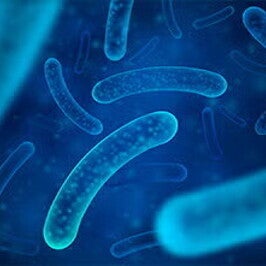 probioticos